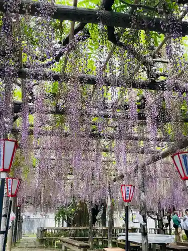 行興寺(静岡県)