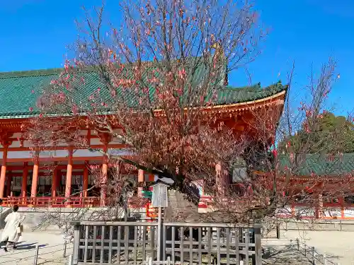 平安神宮の自然