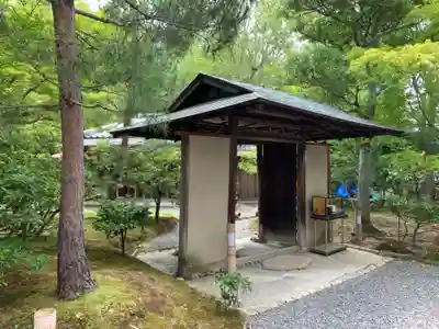 高台寺（高台寿聖禅寺・高臺寺）(京都府)