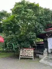 釧路一之宮 厳島神社の自然