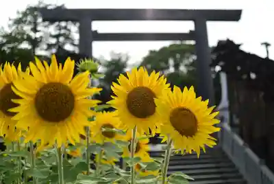 伊勢山皇大神宮(神奈川県)