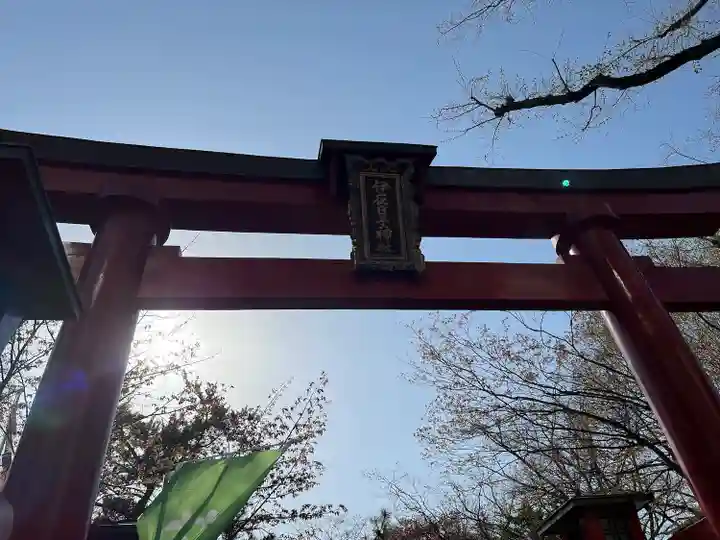 彌彦神社 (伊夜日子神社)の鳥居
