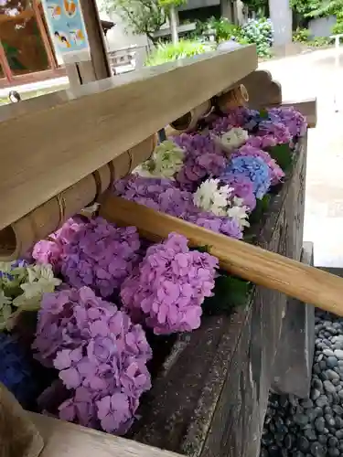 鳩森八幡神社の手水舎