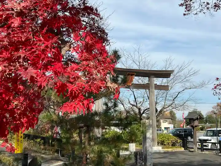 高麗神社(埼玉県)