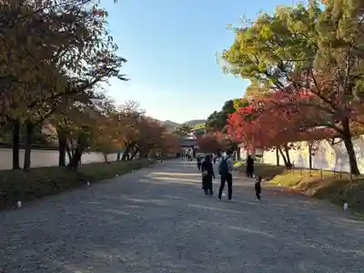 醍醐寺(京都府)