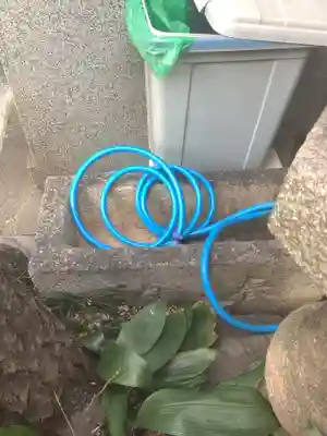 須佐之男社(中之切須佐之男社)(愛知県)