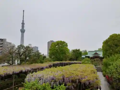 亀戸天神社の景色