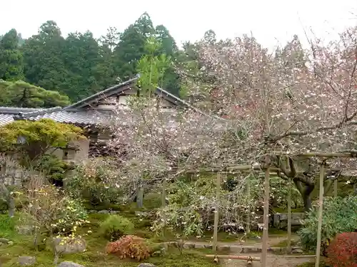 実光院(京都府)
