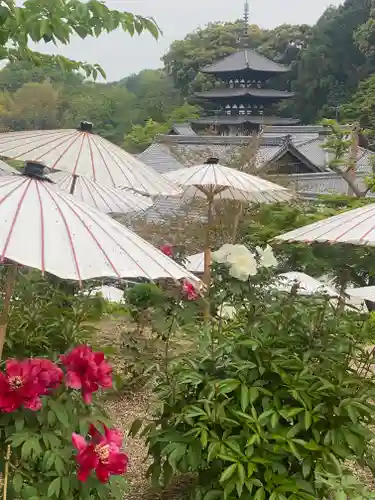 當麻寺 奥院(奈良県)