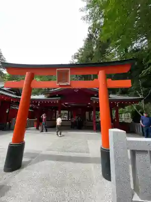箱根神社(神奈川県)