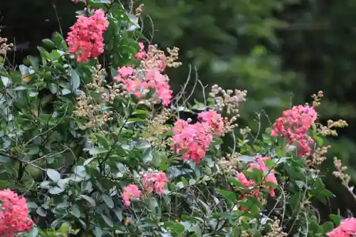 鹿島大神宮の自然