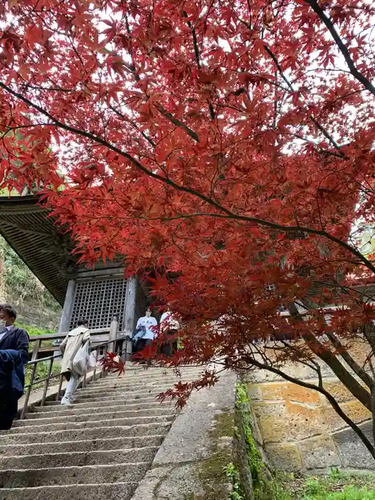 宝珠山 立石寺の山門・神門