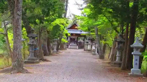 志那神社の建物その他