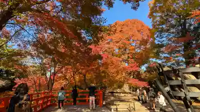 北野天満宮(京都府)