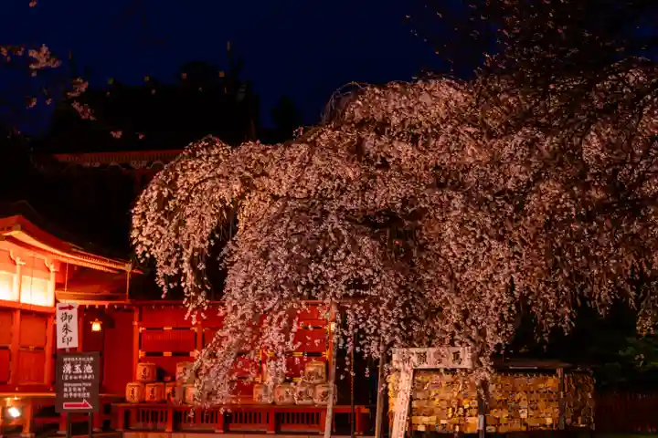 富士山本宮浅間大社(静岡県)