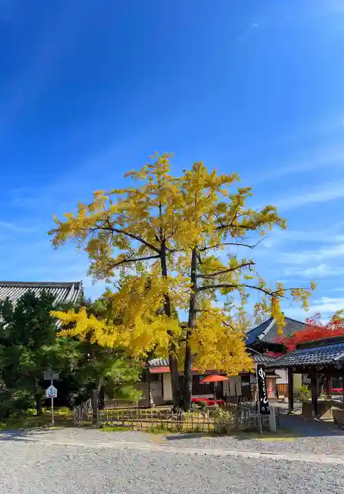 清凉寺(京都府)
