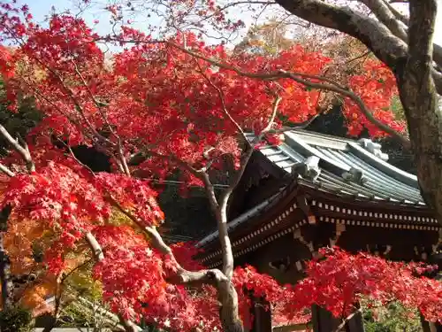 海蔵寺のその他建物