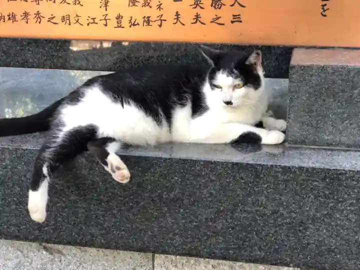 王子神社の動物