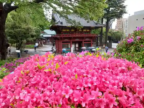 根津神社の山門・神門