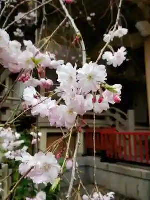 矢先稲荷神社(東京都)