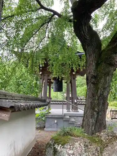 長谷寺(長野県)