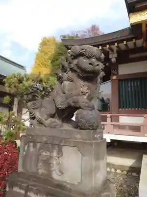 赤塚氷川神社の狛犬
