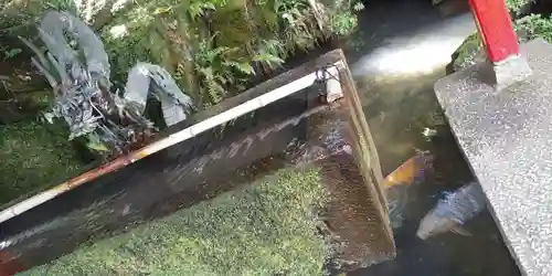 石山寺の手水舎