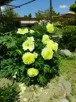 金剛寺(奈良県)