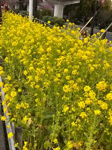 石濱神社の自然