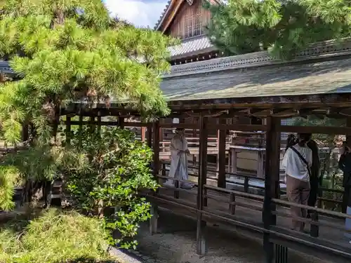 大覚寺(京都府)