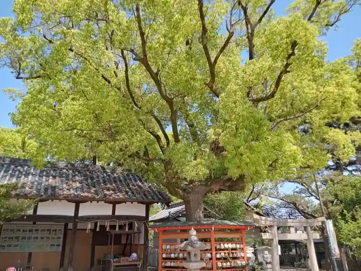 柴籬神社(大阪府)