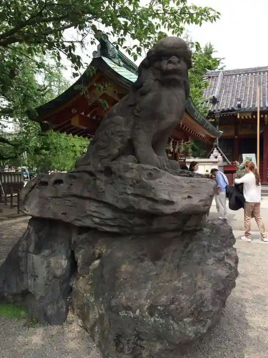 浅草神社の狛犬