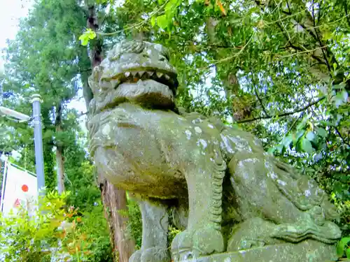 熊野神社の狛犬