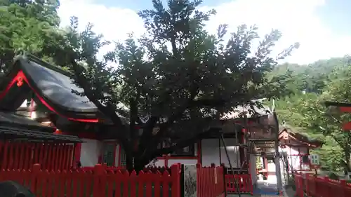 金櫻神社のその他建物