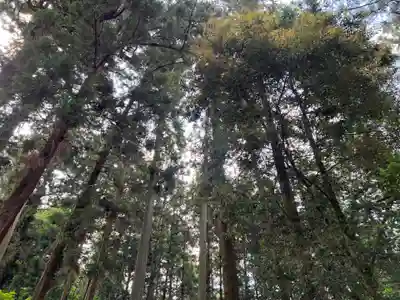 大宮温泉神社(栃木県)