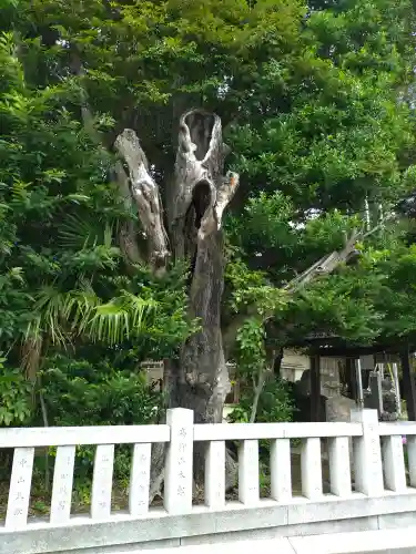 柏諏訪神社(千葉県)