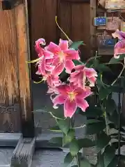 水堂須佐男神社の自然