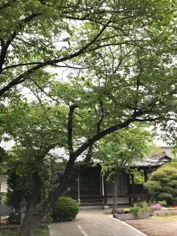 南光寺の本殿・本堂