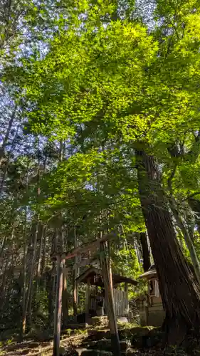 愛宕神社（阿多古神社）(京都府)