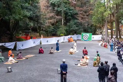 宇佐神宮(大分県)