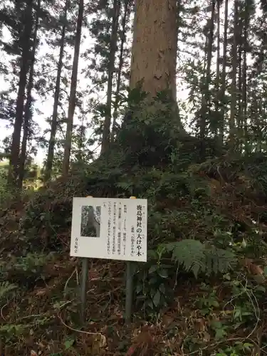 鹿島神社の自然