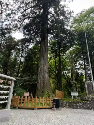 須山浅間神社(静岡県)