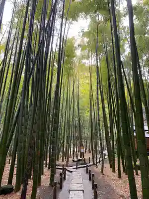 報国寺のその他建物