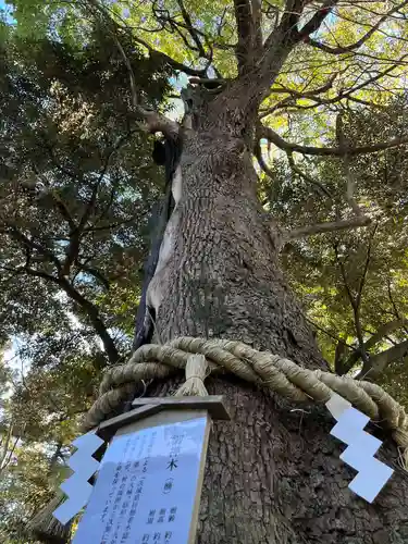 常陸國總社宮の自然
