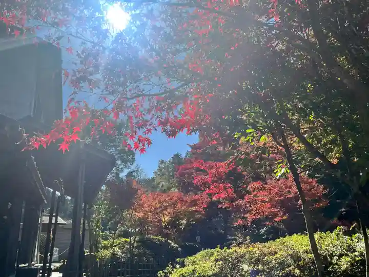 常樂寺(滋賀県)