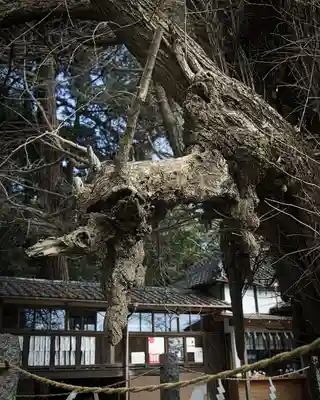 野木神社(栃木県)