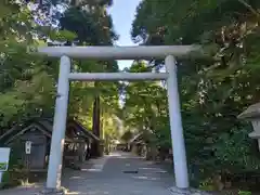 天岩戸神社の鳥居