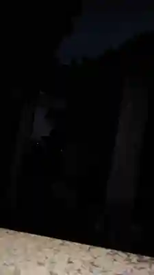 守綱八幡神社(静岡県)