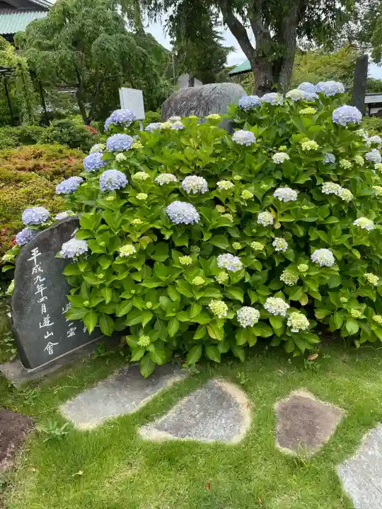 時宗総本山 遊行寺(正式:清浄光寺)の{uncategorized: "未分類", other: "その他", undefined: "問題あり", building: "その他建物", grave: "お墓", sacred_gate: "鳥居", guardian: "狛犬", statue: "像", buddha: "仏像", history: "歴史", nature: "自然", garden: "庭園", animal: "動物", pagoda: "塔", temizu: "手水舎", mountain_gate: "山門・神門", sanctuary: "本殿・本堂", subordinate: "末社・摂社", art: "芸術", scenery: "景色", jizo: "地蔵", ema: "絵馬", goshuin: "御朱印", omikuji: "おみくじ", items: "授与品その他", amulet: "お守り", goshuincho: "御朱印帳", eats: "食事", festival: "お祭り", votive_dance: "神楽", shichigosan: "七五三参", wedding: "結婚式", experience: "体験その他", initially: "初詣", around: "周辺", anti_infection: "感染症対策"}