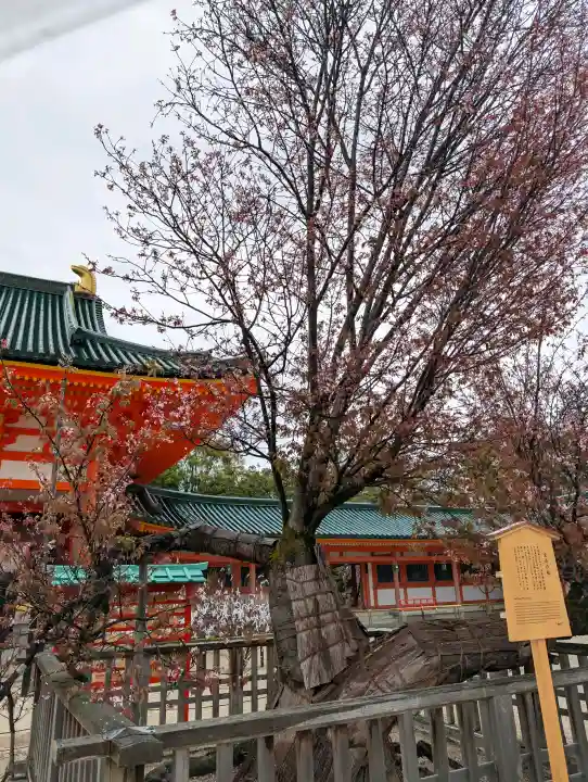 平安神宮の{uncategorized: "未分類", other: "その他", undefined: "問題あり", building: "その他建物", grave: "お墓", sacred_gate: "鳥居", guardian: "狛犬", statue: "像", buddha: "仏像", history: "歴史", nature: "自然", garden: "庭園", animal: "動物", pagoda: "塔", temizu: "手水舎", mountain_gate: "山門・神門", sanctuary: "本殿・本堂", subordinate: "末社・摂社", art: "芸術", scenery: "景色", jizo: "地蔵", ema: "絵馬", goshuin: "御朱印", omikuji: "おみくじ", items: "授与品その他", amulet: "お守り", goshuincho: "御朱印帳", eats: "食事", festival: "お祭り", votive_dance: "神楽", shichigosan: "七五三参", wedding: "結婚式", experience: "体験その他", initially: "初詣", around: "周辺", anti_infection: "感染症対策"}